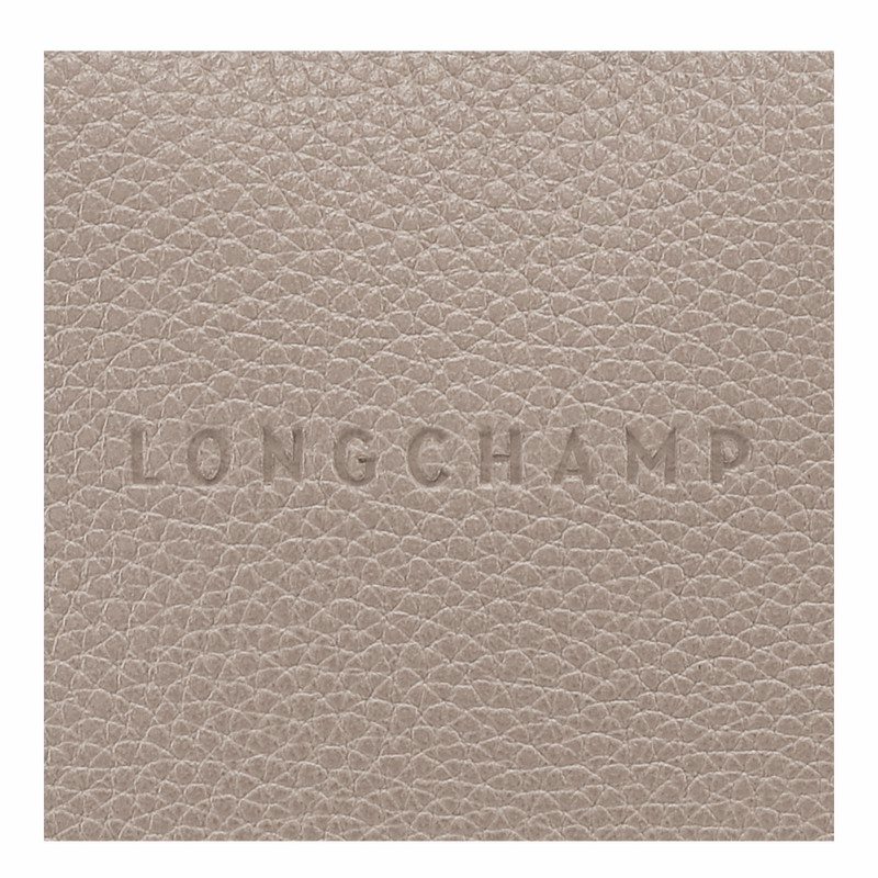 Longchamp Le FOULONNÉ M Crossbodytassen Dames Grijs Belgium | 10140021P55