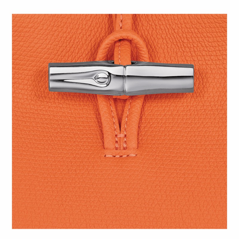 Longchamp Le Roseau S Handtas Dames Oranje Belgium | 10273HFP017